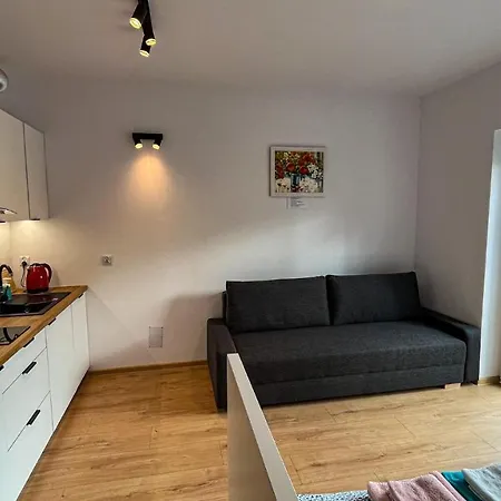 Apartament Lublin Centrum „Bengal Cat” Екстер'єр фото
